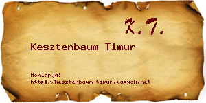 Kesztenbaum Timur névjegykártya